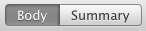 Body & Summary Blog Editing Options