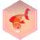 Goldfish 2.0 HTML5 Video RapidWeaver Stack